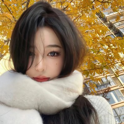 黑色孤儿：回响海报