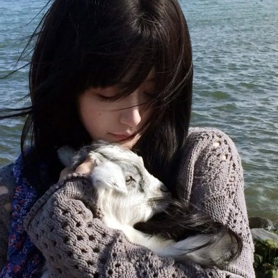 法网追凶海报